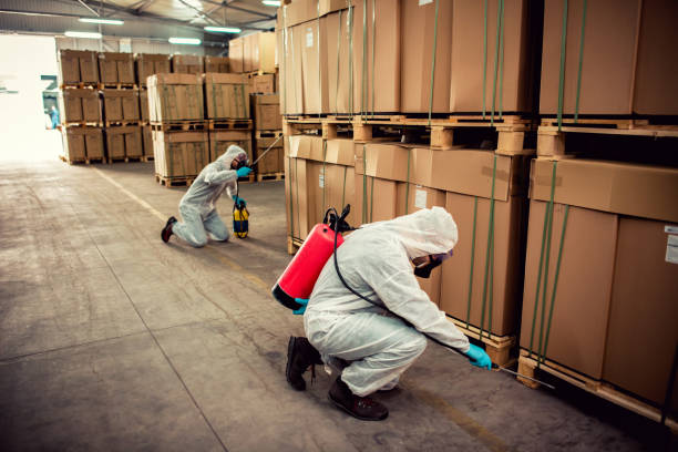 Best Cockroach Control Services  in Mount Healthy, OH