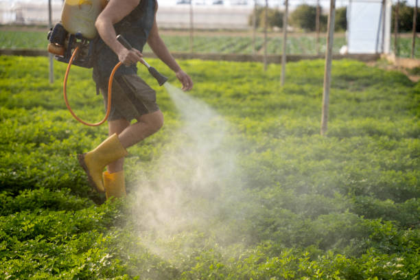Best Pest Removal Services  in Mount Healthy, OH