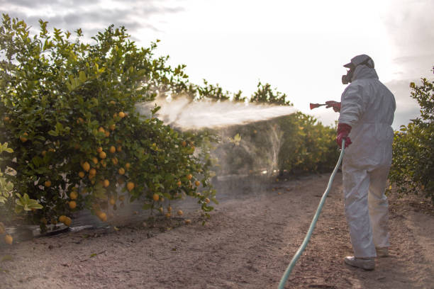 Best Local Pest Control Services  in Mount Healthy, OH