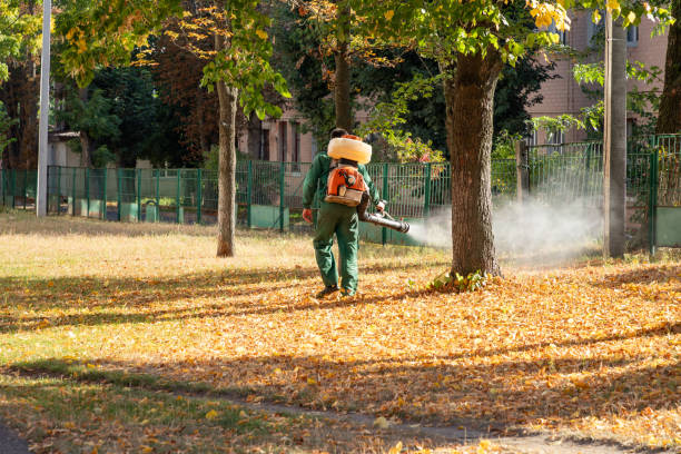 Professional Pest Control in Mount Healthy, OH