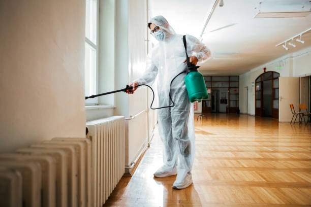 Best Exterminator Services  in Mount Healthy, OH