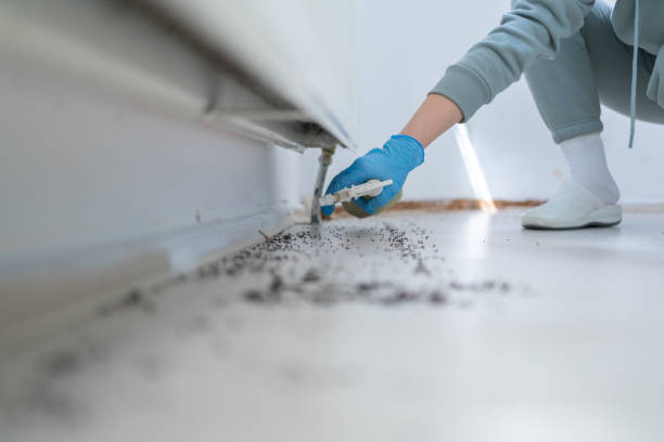 Best Bed Bug Extermination  in Mount Healthy, OH